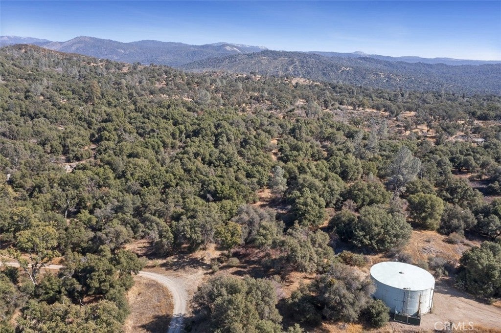 0 39.29 AC Village Drive