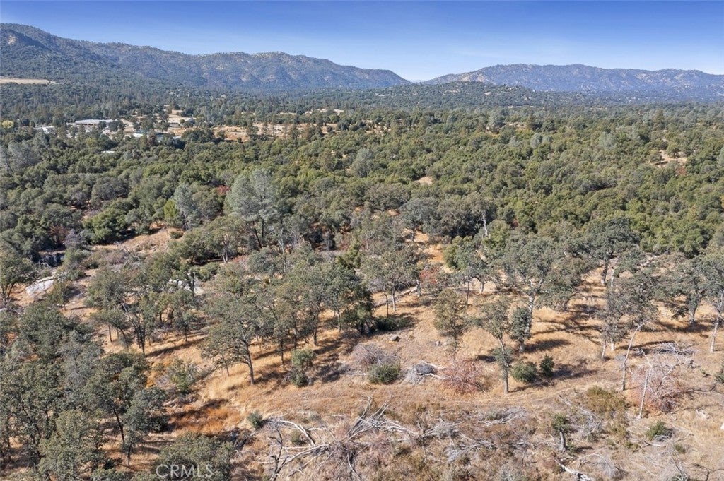 0 39.29 AC Village Drive