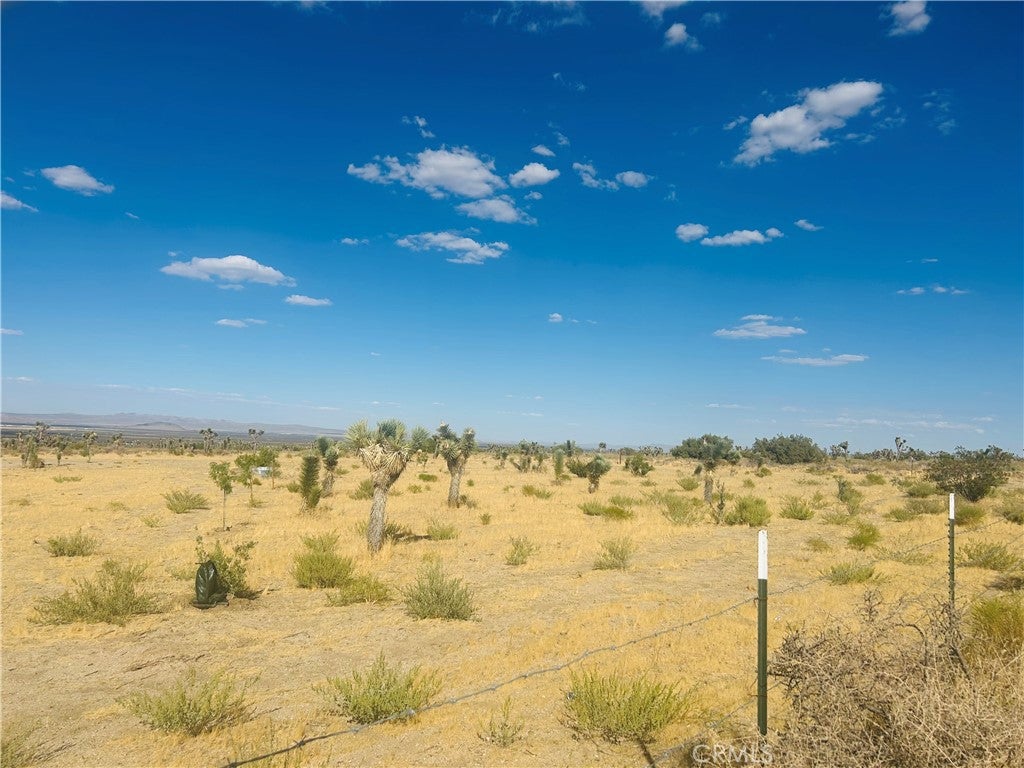 0 COR FORT TEJON DRT 230