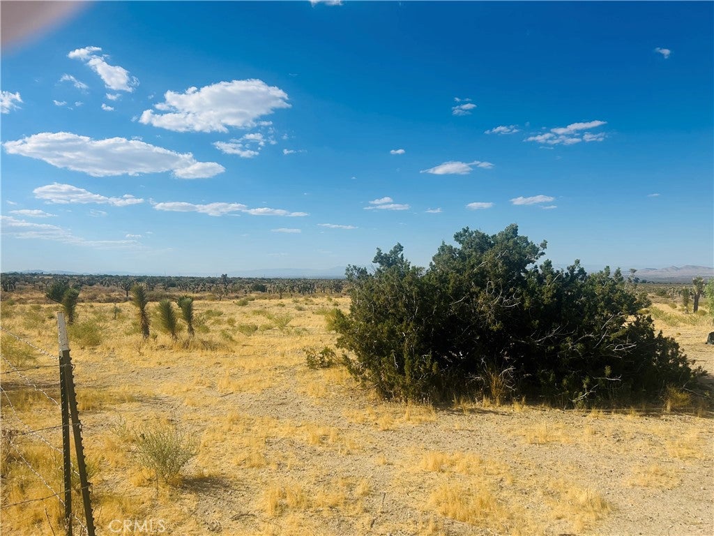 0 COR FORT TEJON DRT 230