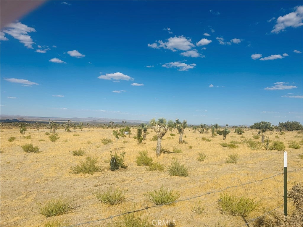 0 COR FORT TEJON DRT 230