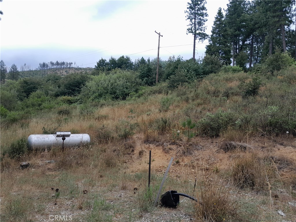 This property is Absolutely Amazing! With 9.9 Acres imagine all the possibilities. In the past the meadow was kept down with a tractor. There is space for outbuildings. A small area is fenced off with a few fruit frees that survived. Trees are green again and the hillside is alive with deer. There was PGE previously. Septic and well condition unknown. Worth taking a look.