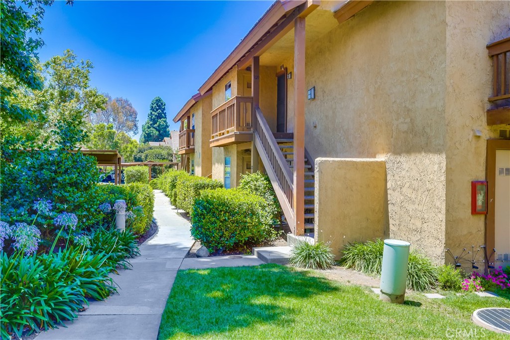 321 Orange Blossom 166