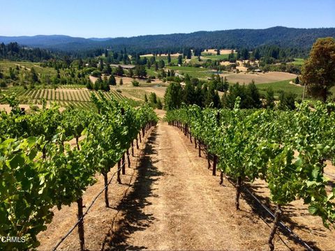 Photo of 3400 Chardonnay Lane, Philo, CA 95463 (MLS # C1-11422)