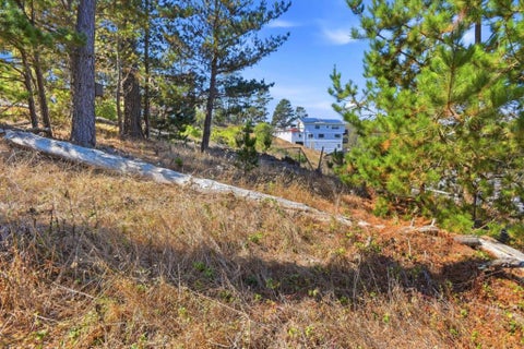 Photo of 920 Irving Street, Montara, CA 94037 (MLS # ML82062474)