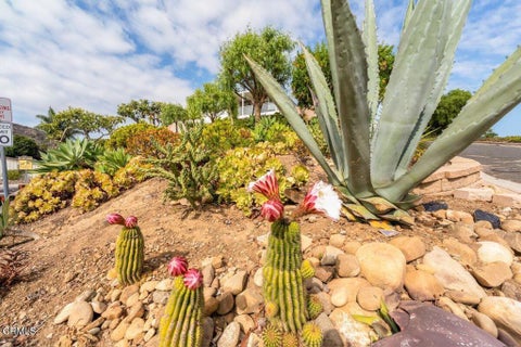 Tiny photo for 2897 Grove Street, Ventura, CA 93003 (MLS # V1-38882)