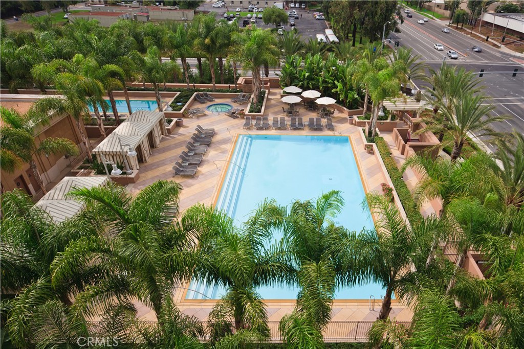 The Plaza (5000 and 8000) (PLZA) - Residential Lease