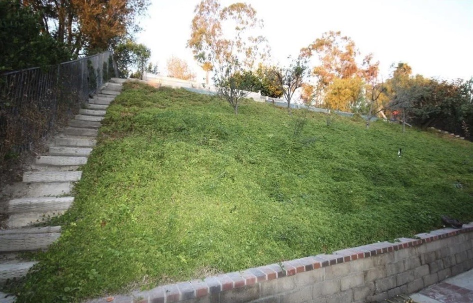 Sunset Hills/Braemar (605) - Residential Lease