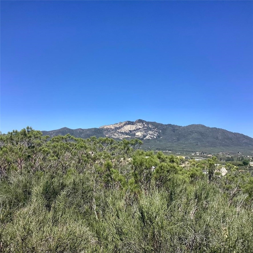 Lovely, 2.5 acre, view property. Lush natural vegetation with gentle slope from top of property to Pony Trail. Electricity close by. Views of Cahuilla and Palomar Mountains. Area of nice homes. Not far from Hwy 371. Just 35 minutes to Temecula and 45 minutes to Palm Desert. Come build your dream home. Enjoy a peaceful environment and star filled nights. Anza has a touch of all four seasons. 4,000. feet in elevation. Lake Hemet is only 15 minutes away. 25 minutes to the resort town of Idyllwild. Property sold in present condition.