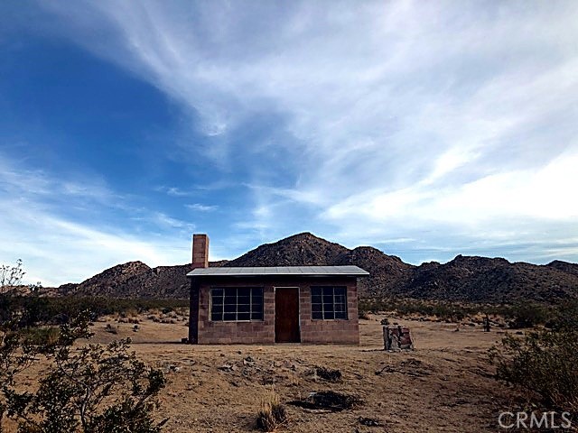 51050 Cholla