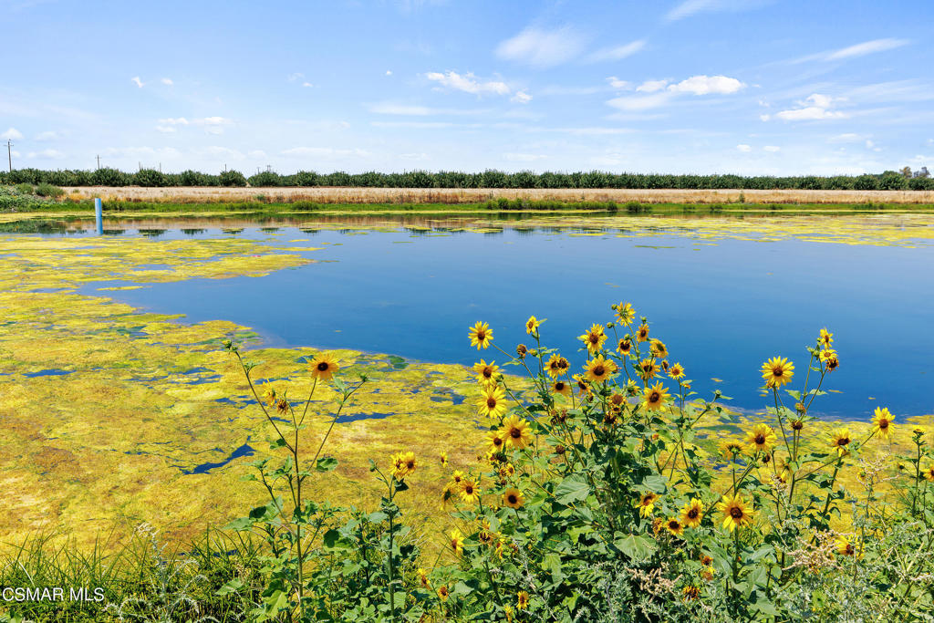 ,Other - OTHR - Land