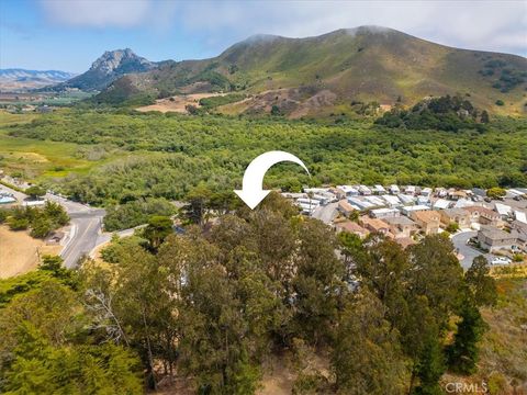 Tiny photo for 509 Quinn CT, Morro Bay, CA 93442 (MLS # PI26109932)