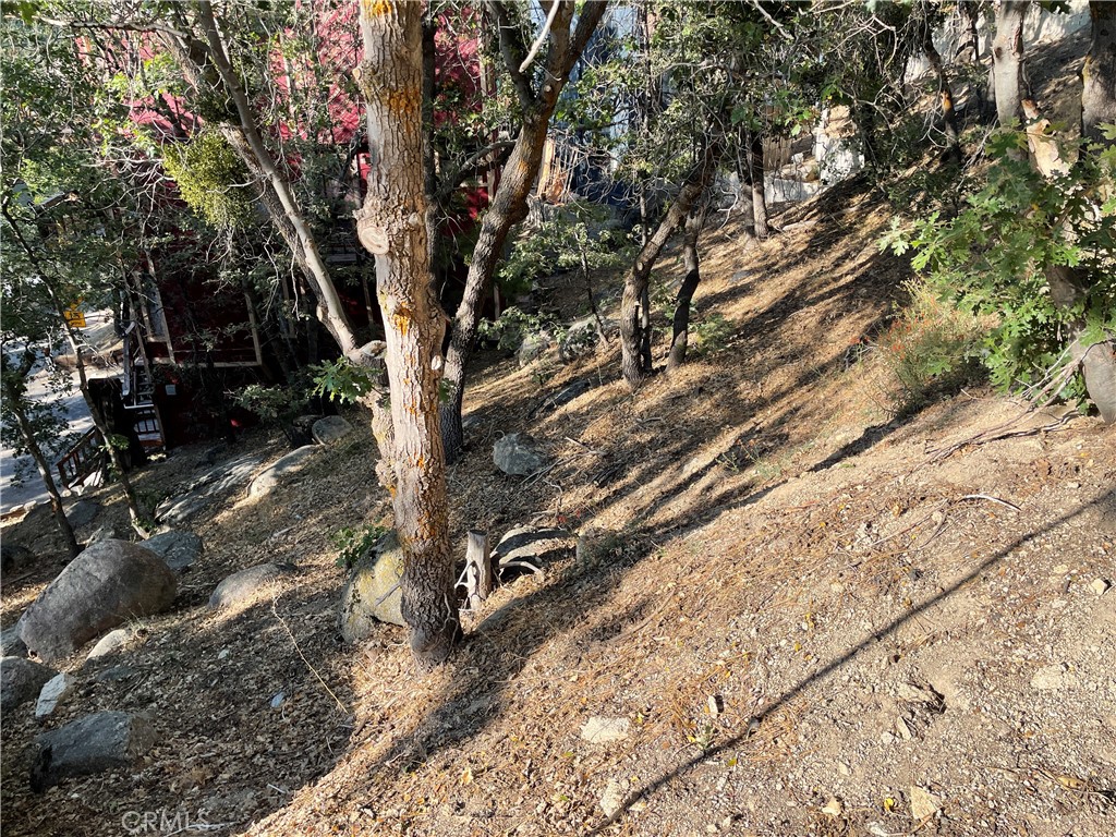 Arrowbear (AWBR) - Land