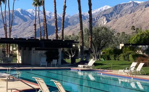 Tiny photo for 473 N Calle Rolph, Palm Springs, CA 92262 (MLS # 219155149PS)