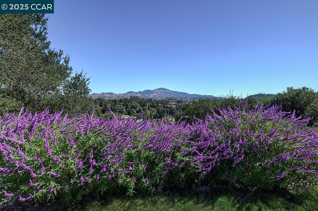 ROSSMOOR - Residential