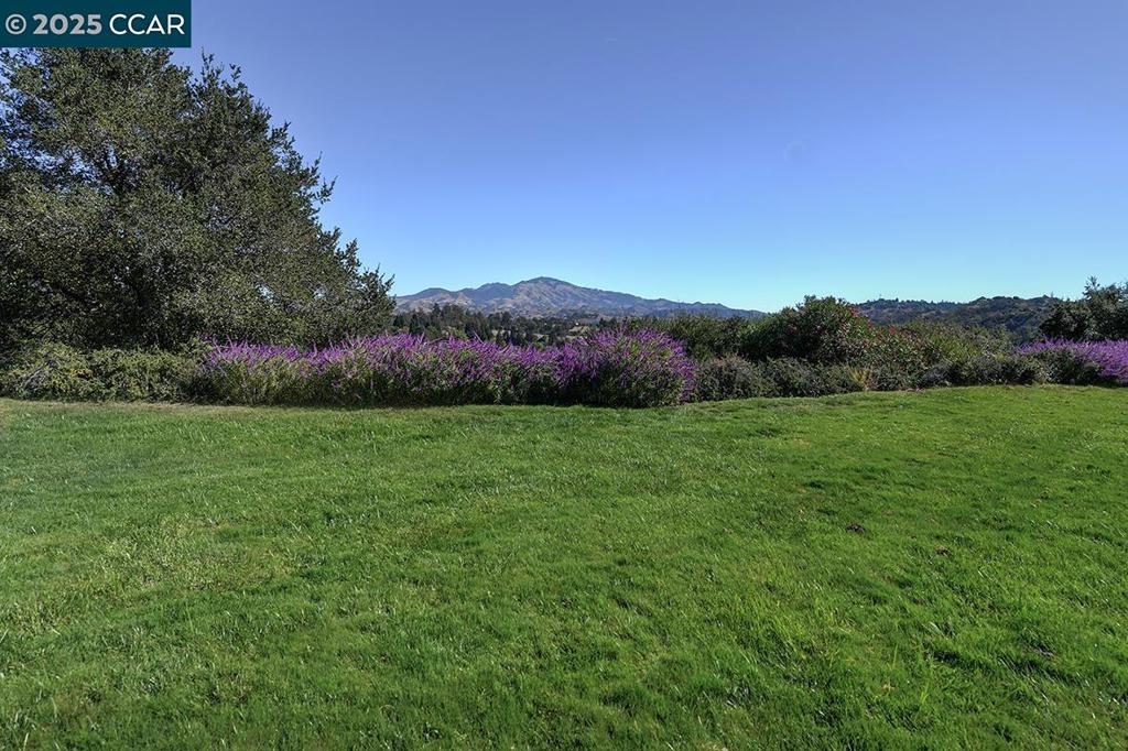 ROSSMOOR - Residential