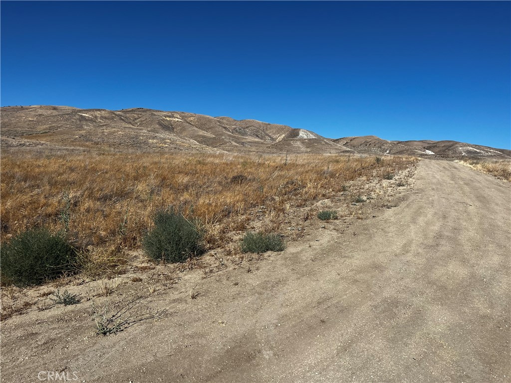 Carrizo Plains/California Valley(62) - Land