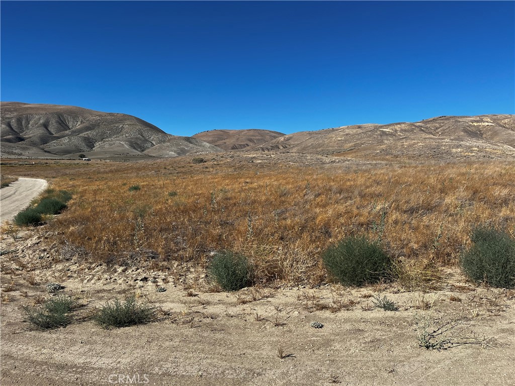Carrizo Plains/California Valley(62) - Land