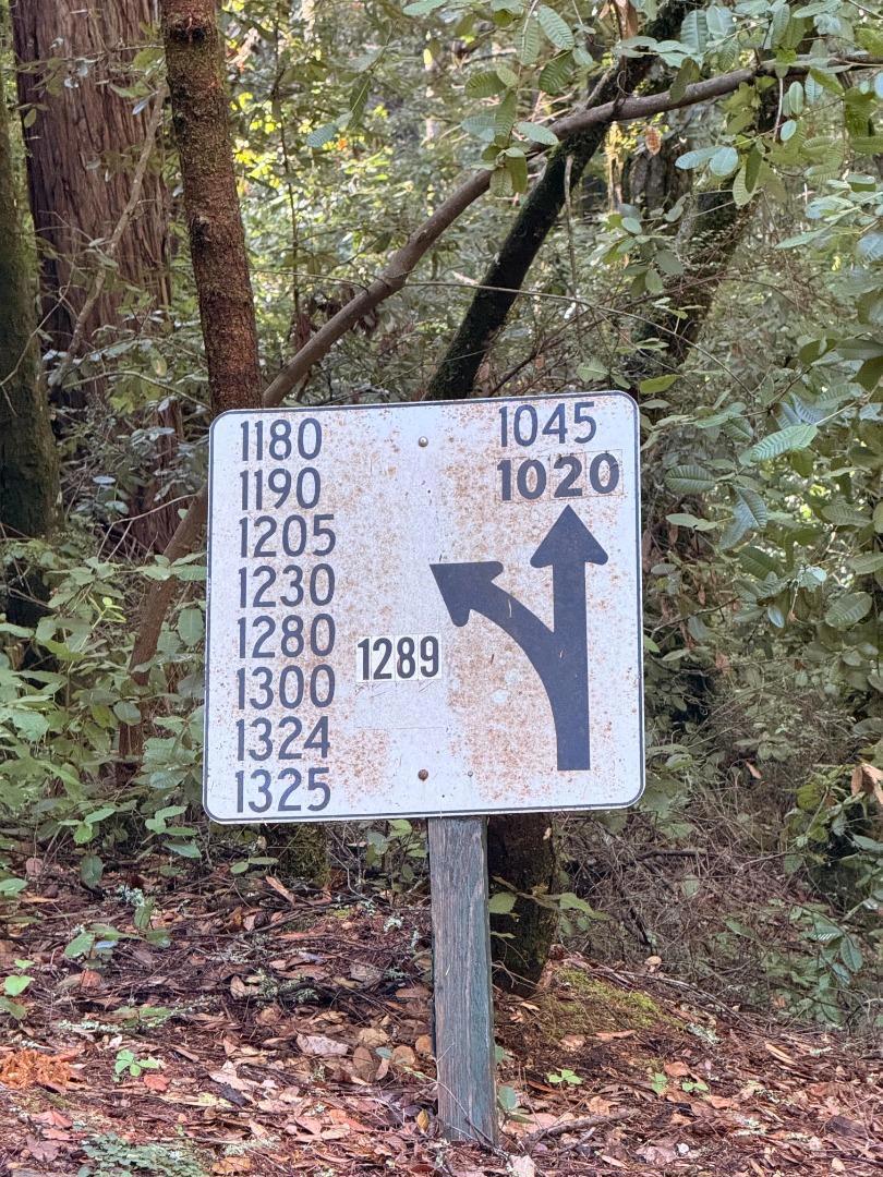 0 Warren Drive