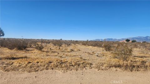 Photo of 0 Danbury Road, Phelan, CA 92371 (MLS # HD25100115)