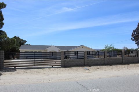 Photo of 10128 E Ave S12, Littlerock, CA 93543 (MLS # SR25090993) Photo of 10128 E Ave S12, Littlerock, CA 93543 (MLS # SR25090993)