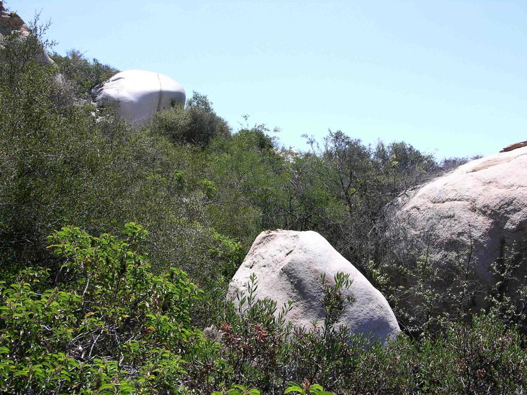 Lot 53 Welcome View