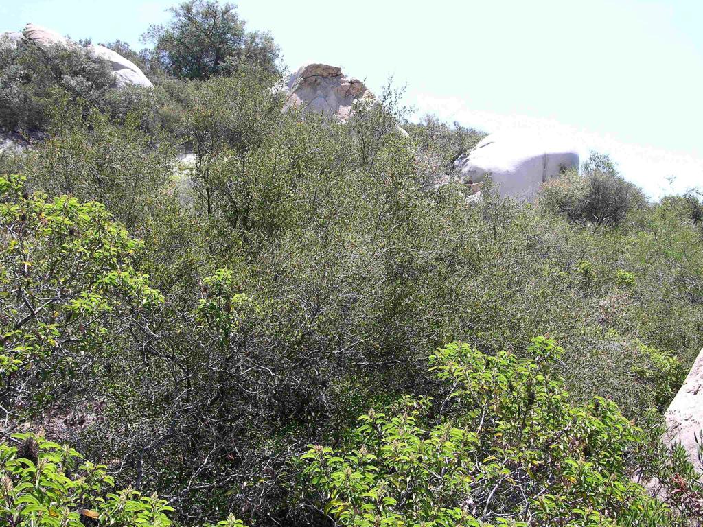 Lot 53 Welcome View