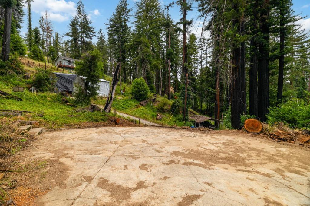 1131 Rambling Road