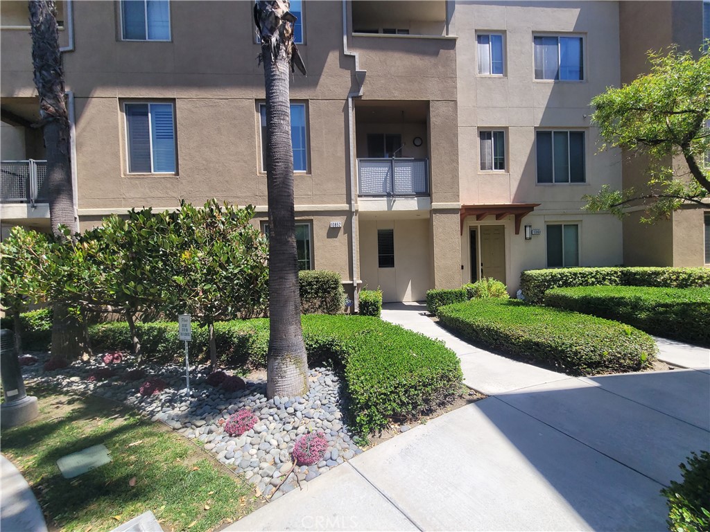 10852 Sonoma