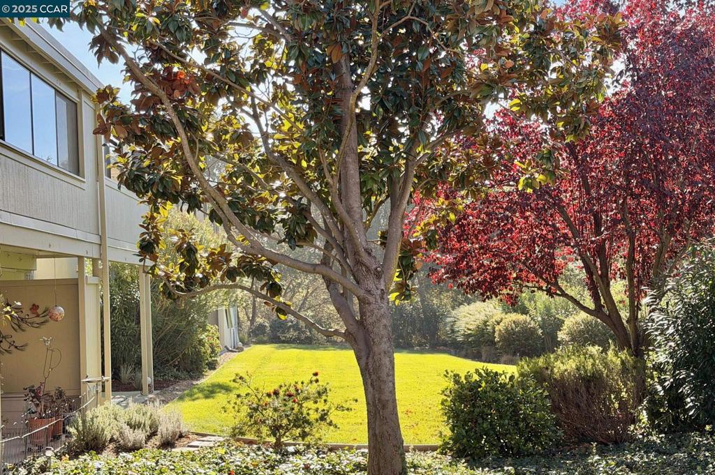 ROSSMOOR - Residential