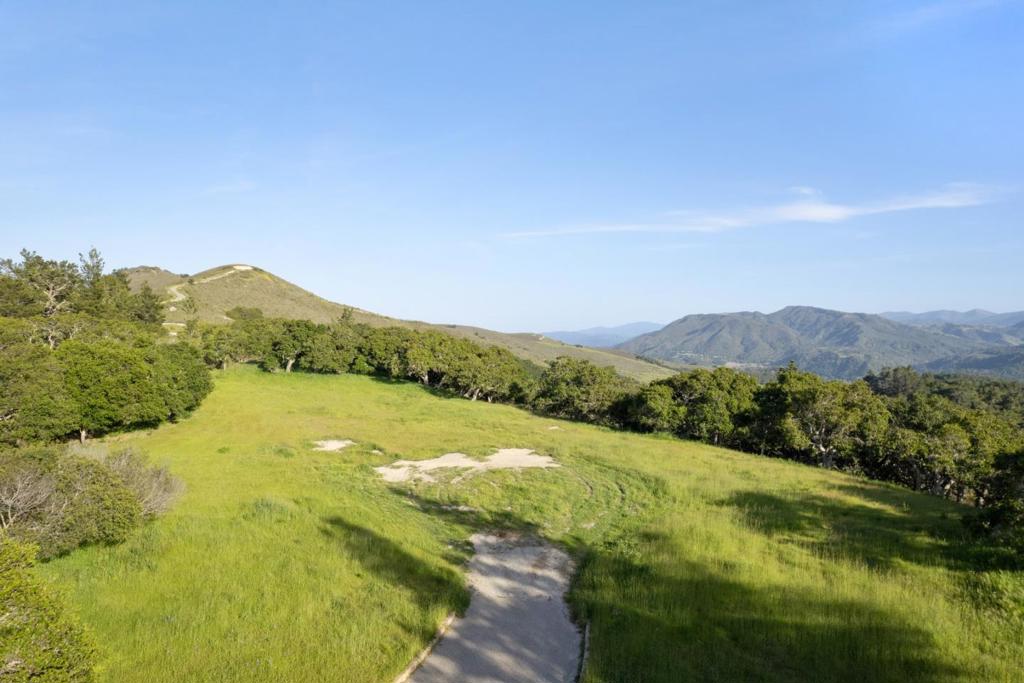 88 Linea De Fuego (Lot 62)