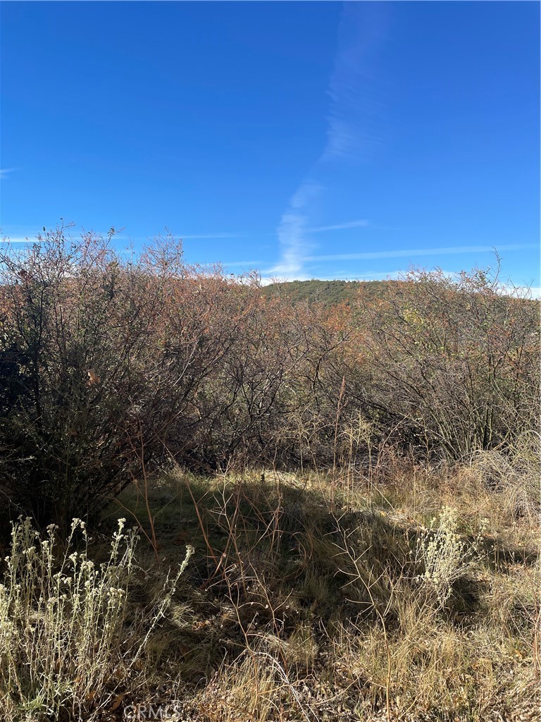 Attention Nature & Mountain Lovers...It's time to own your own piece of the Beautiful San Bernardino Mountains!  Gorgeous views, private and peaceful, best of all ready to put your own personal touch on your own land!  Down slope allowing for views on each level if you choose a multi-level cabin.  Located mere minutes from Lake Arrowhead Village, quaint shops, and mountain activities galore!