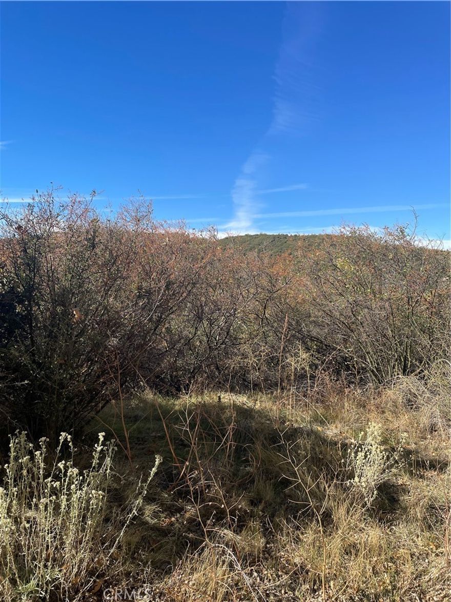 Attention Nature & Mountain Lovers...It's time to own your own piece of the Beautiful San Bernardino Mountains!  Gorgeous views, private and peaceful, best of all ready to put your own personal touch on your own land!  Down slope allowing for views on each level if you choose a multi-level cabin.  Located mere minutes from Lake Arrowhead Village, quaint shops, and mountain activities galore!