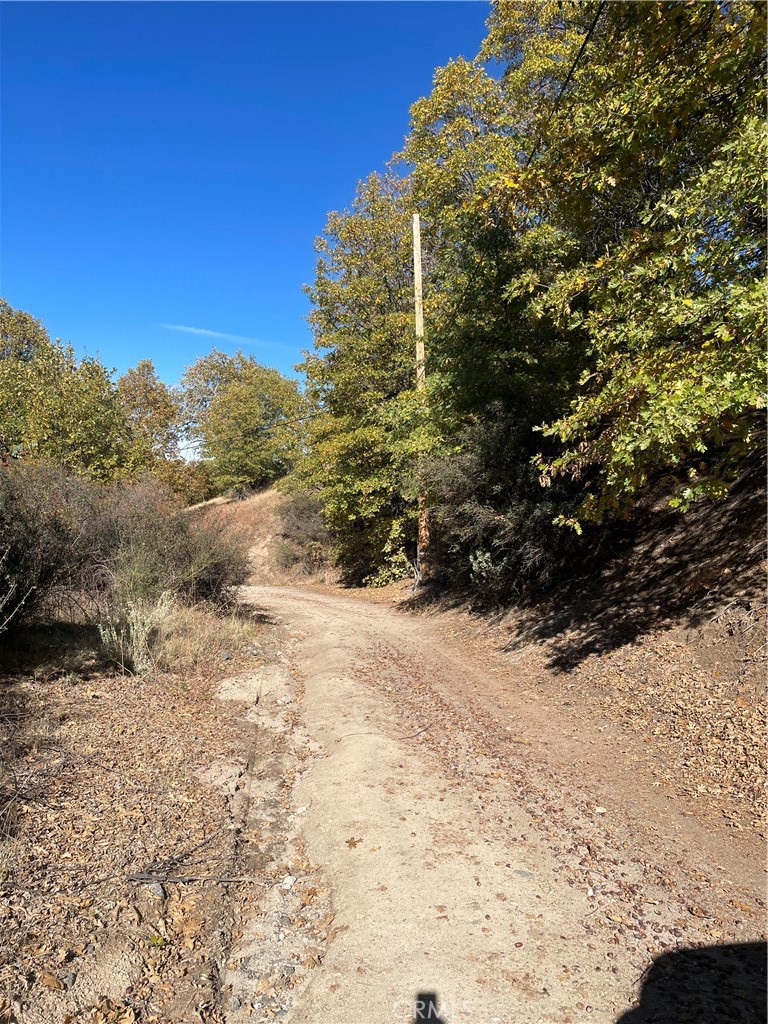 Cedar Glen (CEDG) - Land