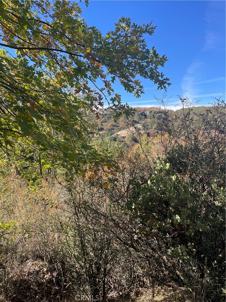 Cedar Glen (CEDG) - Land