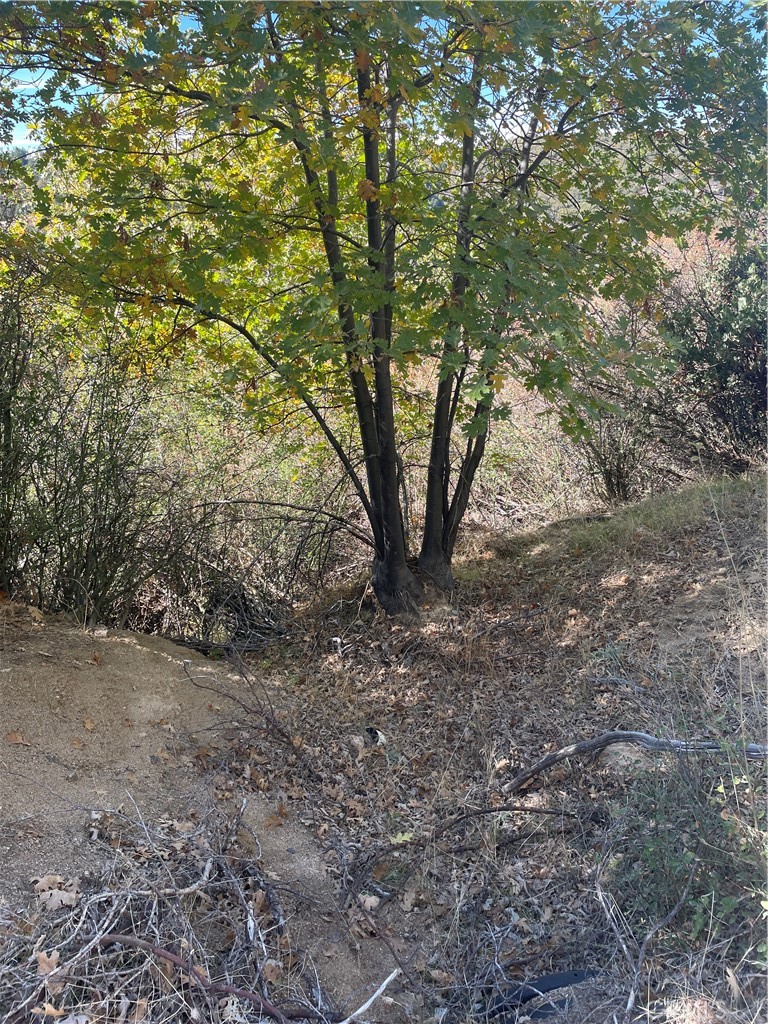 Cedar Glen (CEDG) - Land