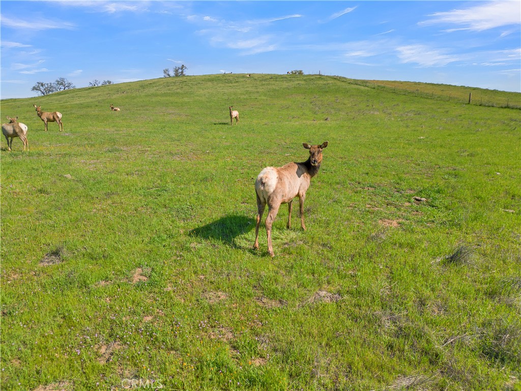 PR Lake Nacimiento(230) - Land