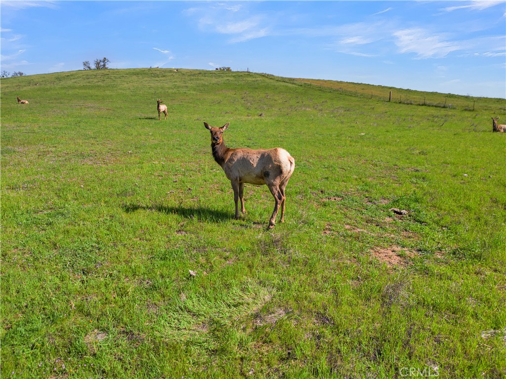 PR Lake Nacimiento(230) - Land