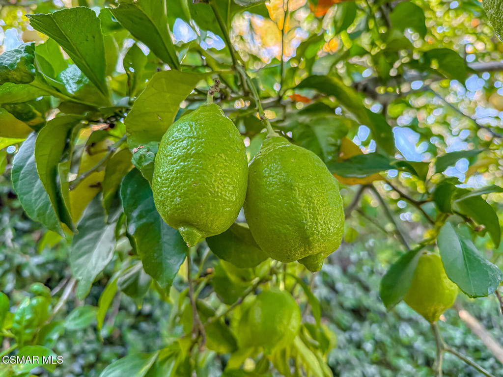 Palermo/Dos Vientos-194 - 194 - Residential