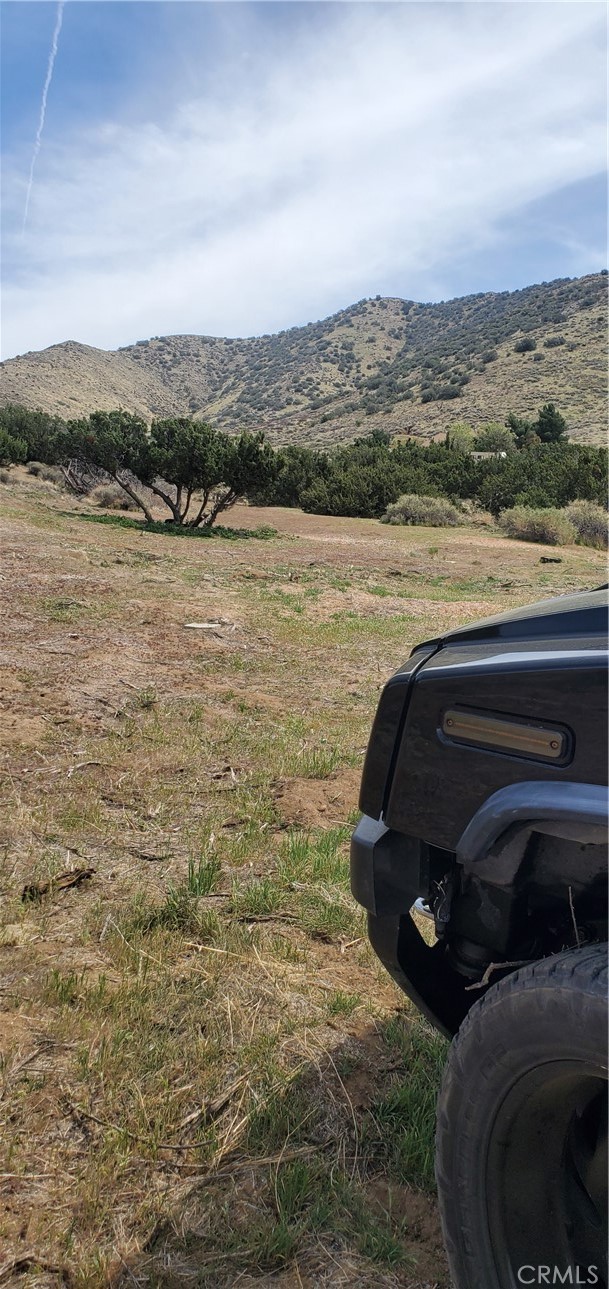 Blissfull views from this property with neighbors nearby but not too close. Use your imagination on this undeveloped parcel. Right off the main highway for easy commuting access and utilities nearby.