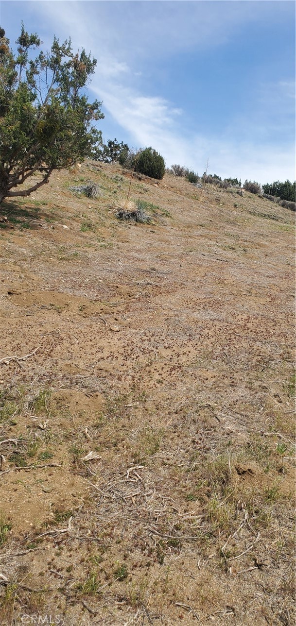 Custom Acton (CACTO) - Land