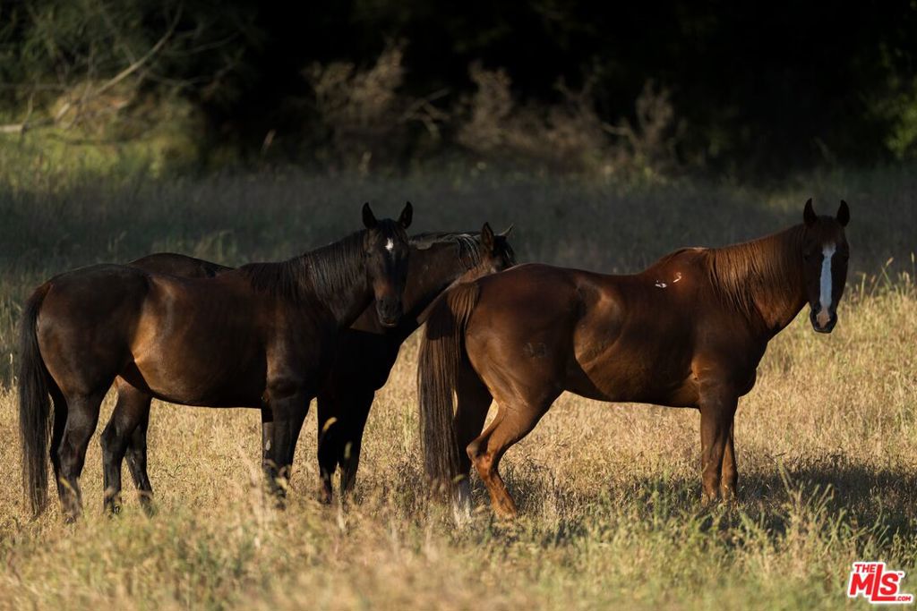 41924 Patrick Ave TPN#4337/5