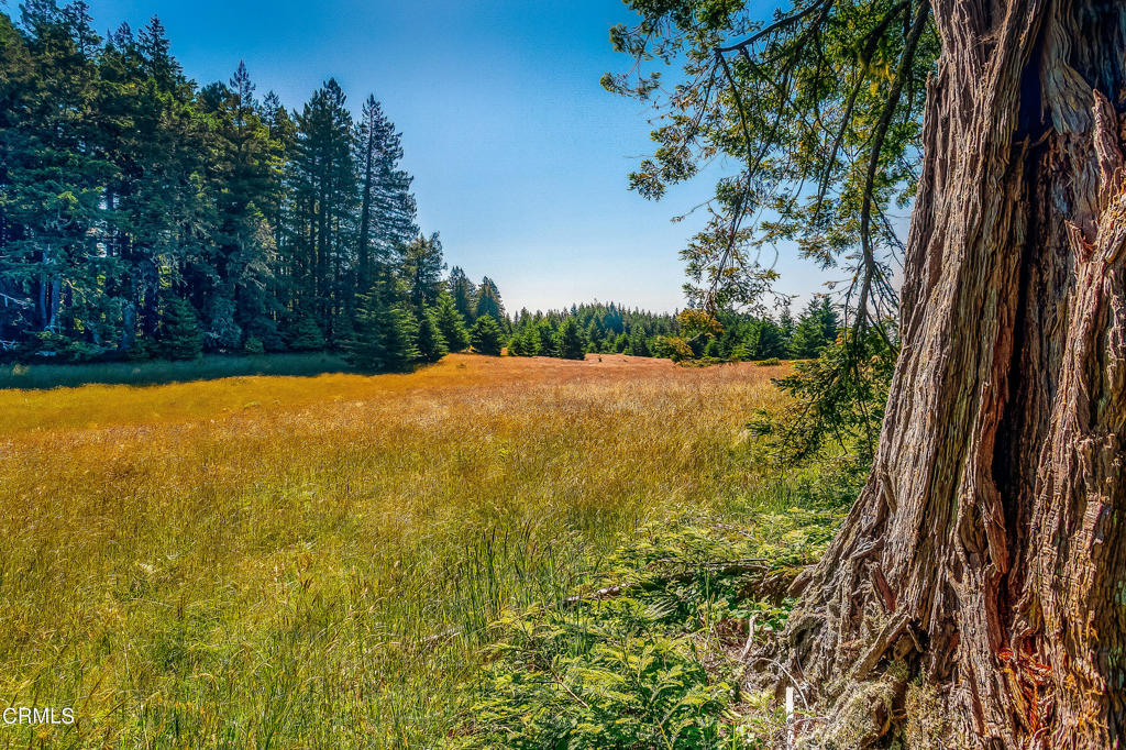 Not Applicable - Land