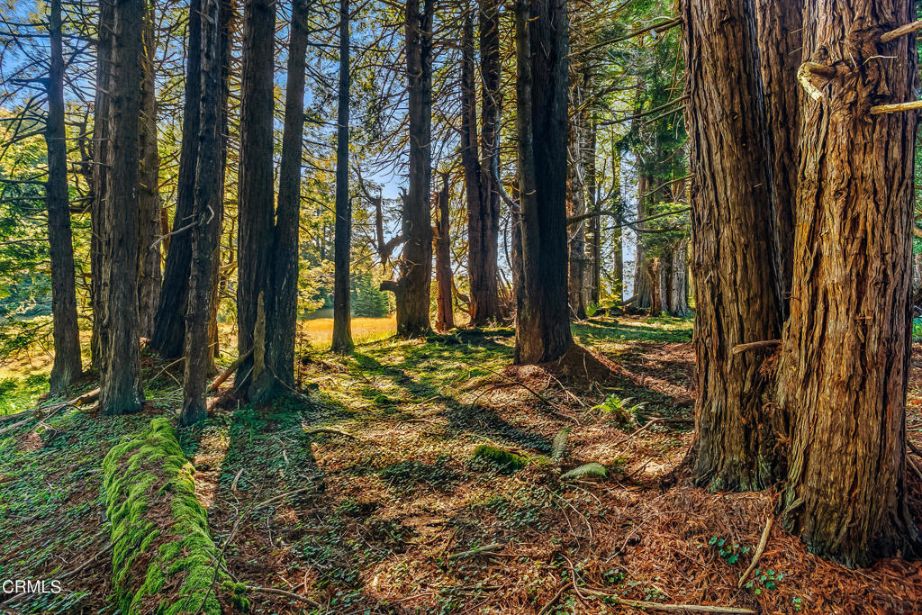 Not Applicable - Land