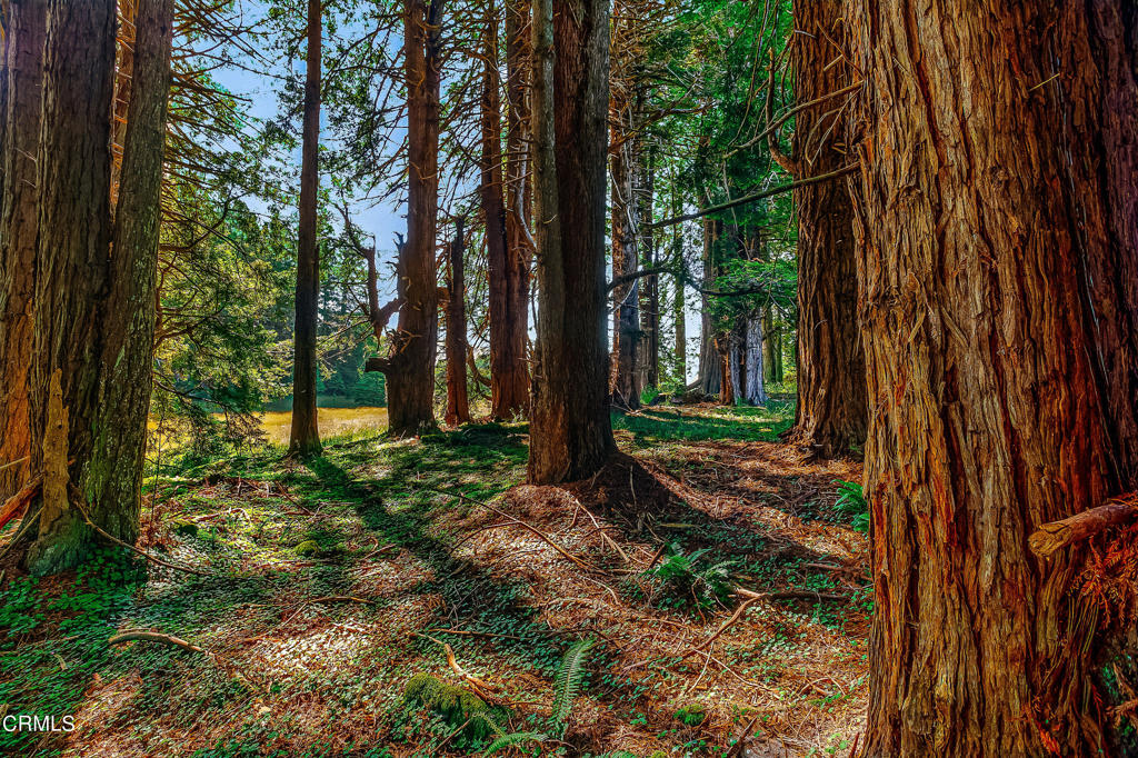 Not Applicable - Land