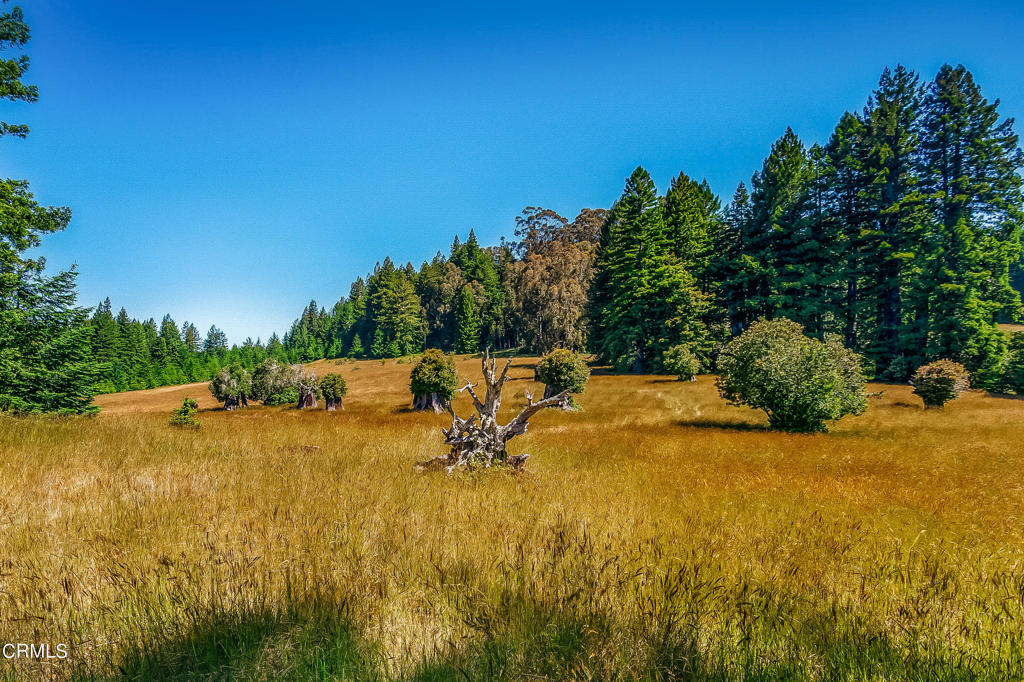 Not Applicable - Land