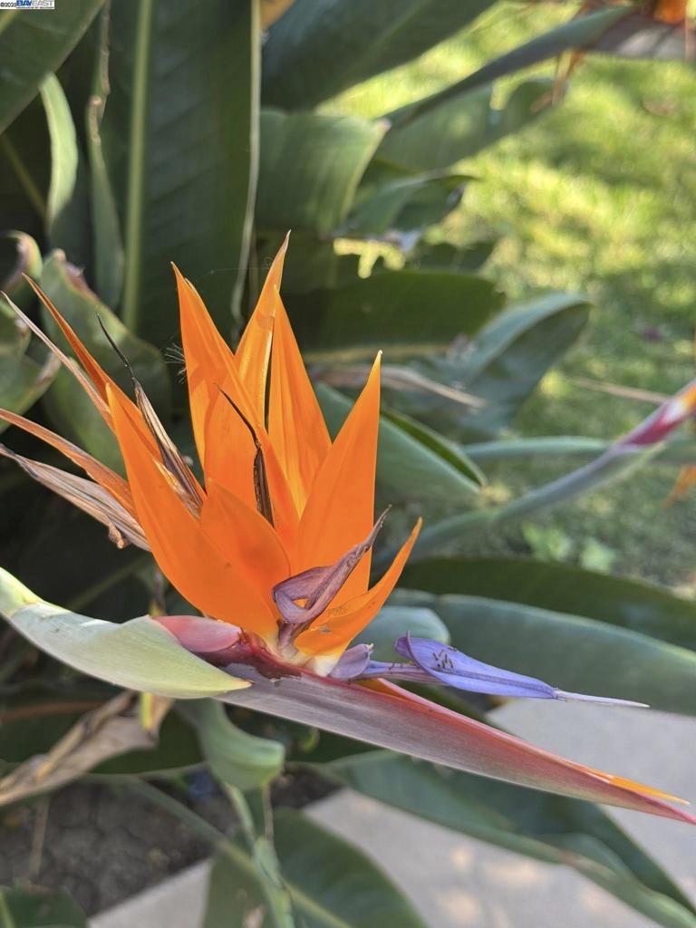 PITTSBURG - Residential Lease