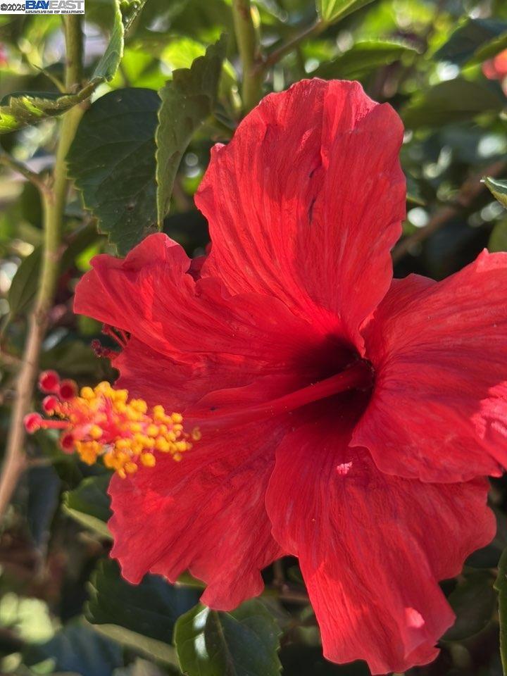 PITTSBURG - Residential Lease