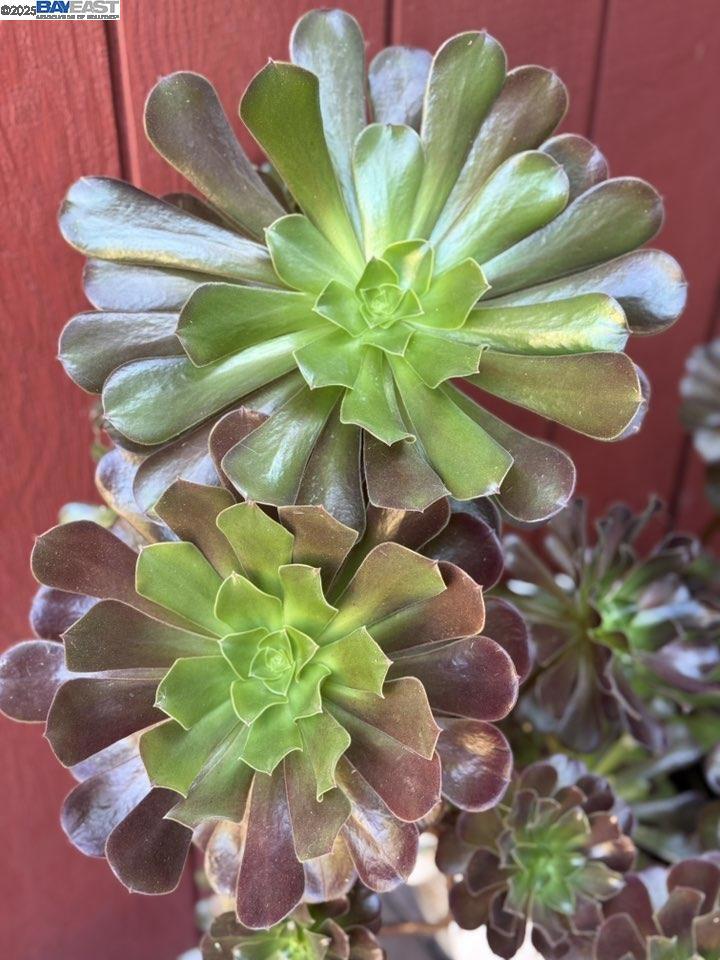 PITTSBURG - Residential Lease