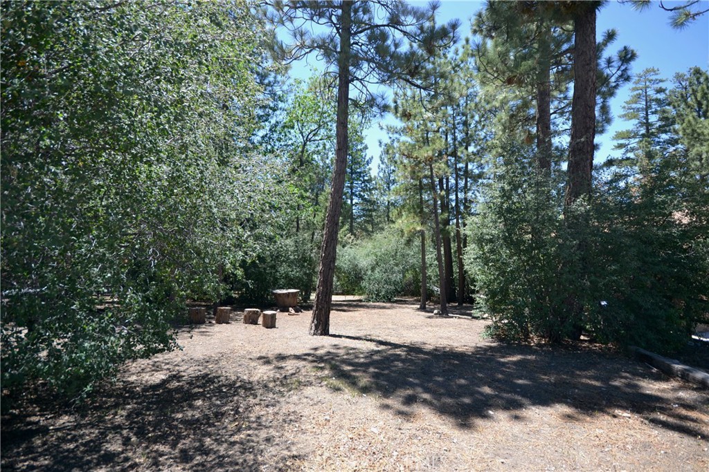 899 McAlister Road